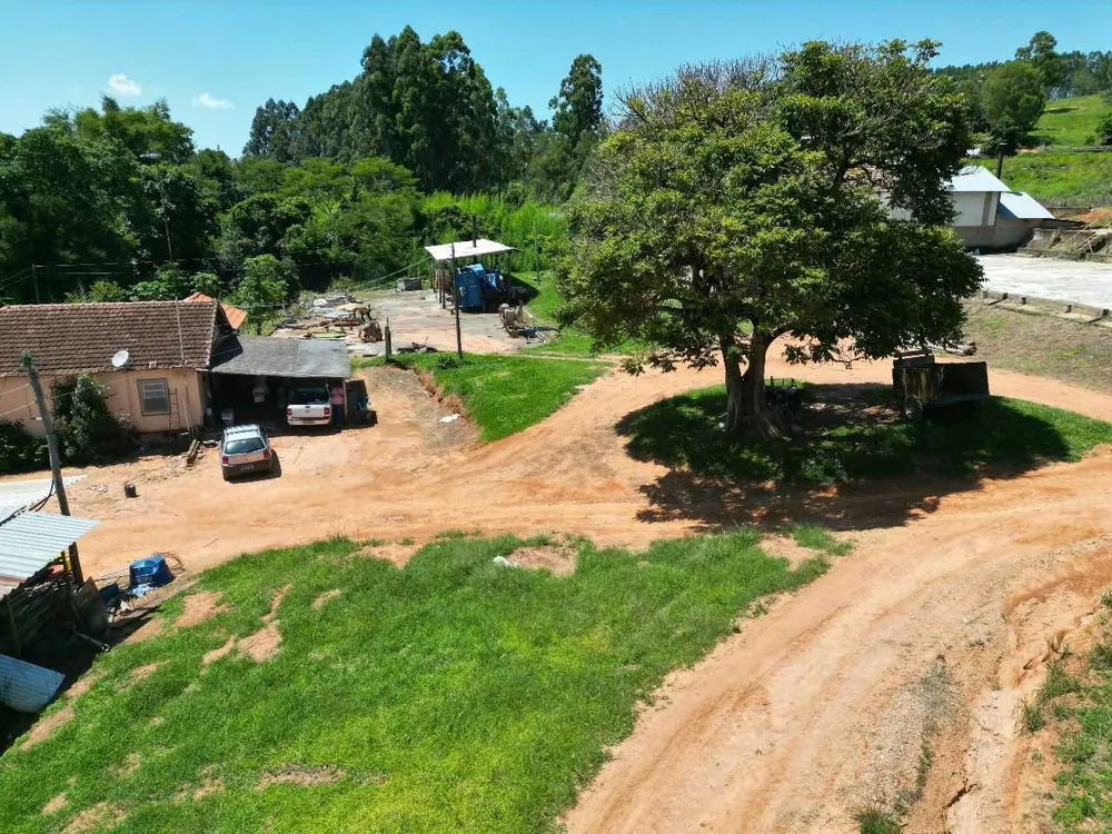 Fazenda, 79 hectares - Foto 10