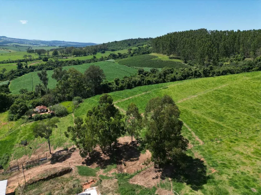 Fazenda, 79 hectares - Foto 11
