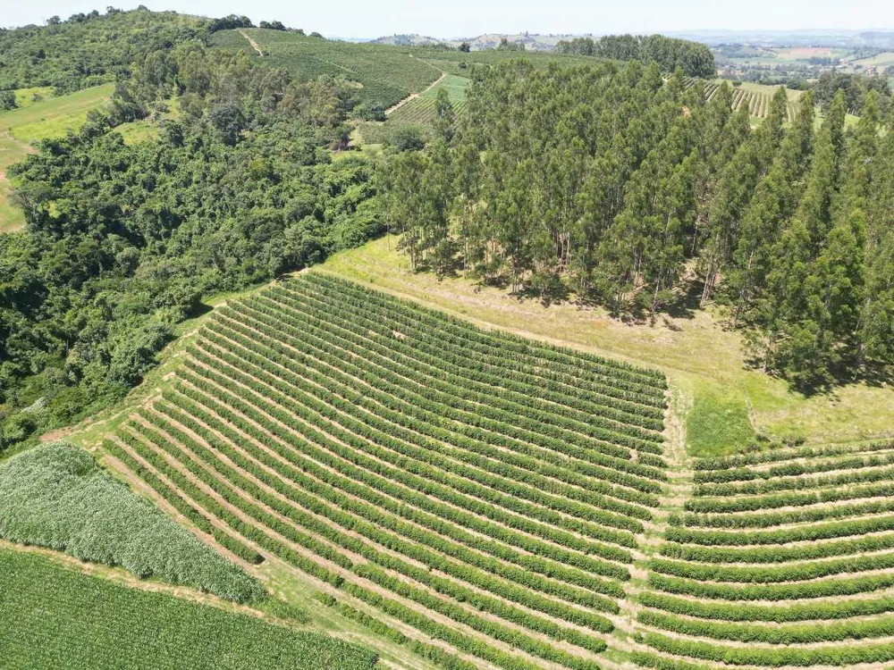 Fazenda, 79 hectares - Foto 8