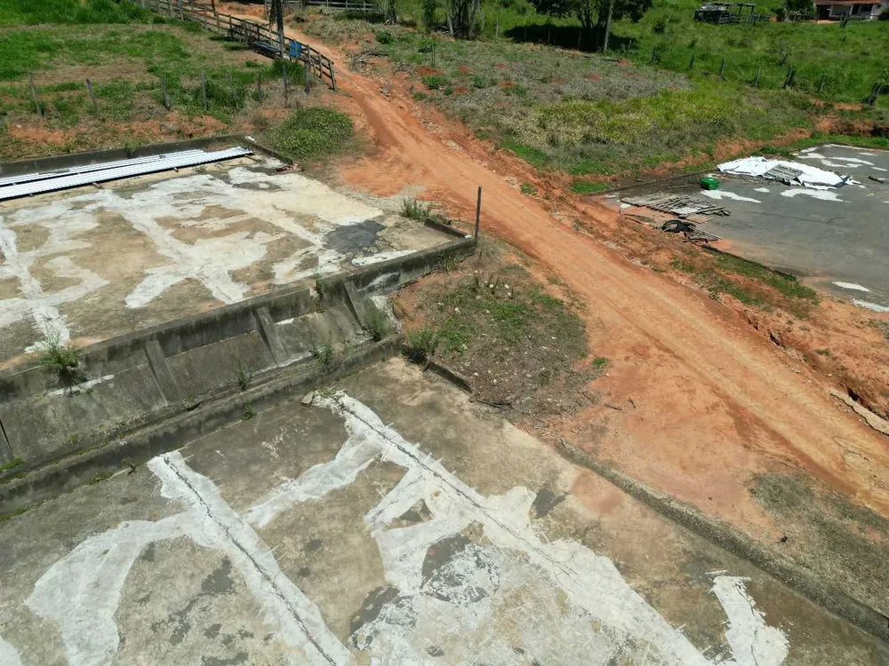 Fazenda, 79 hectares - Foto 4
