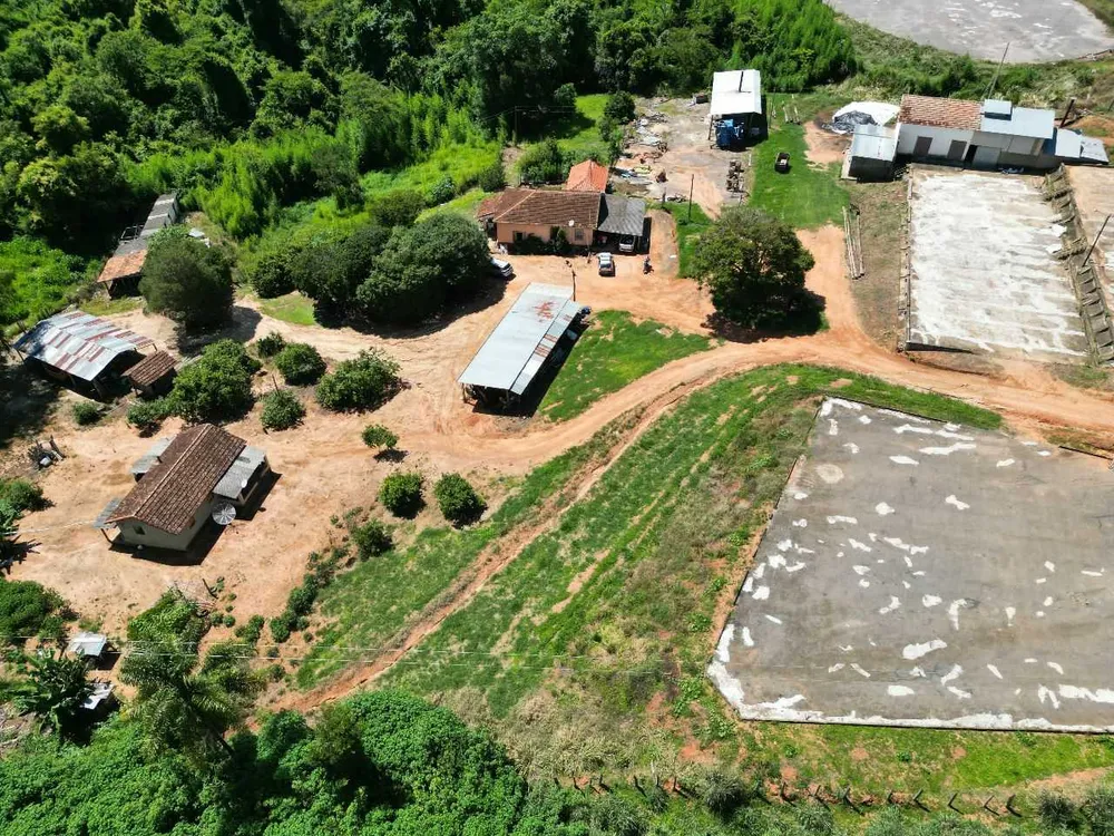 Fazenda, 79 hectares - Foto 16