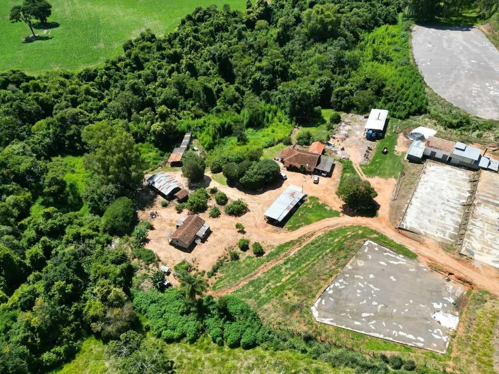 Fazenda, 79 hectares - Foto 6