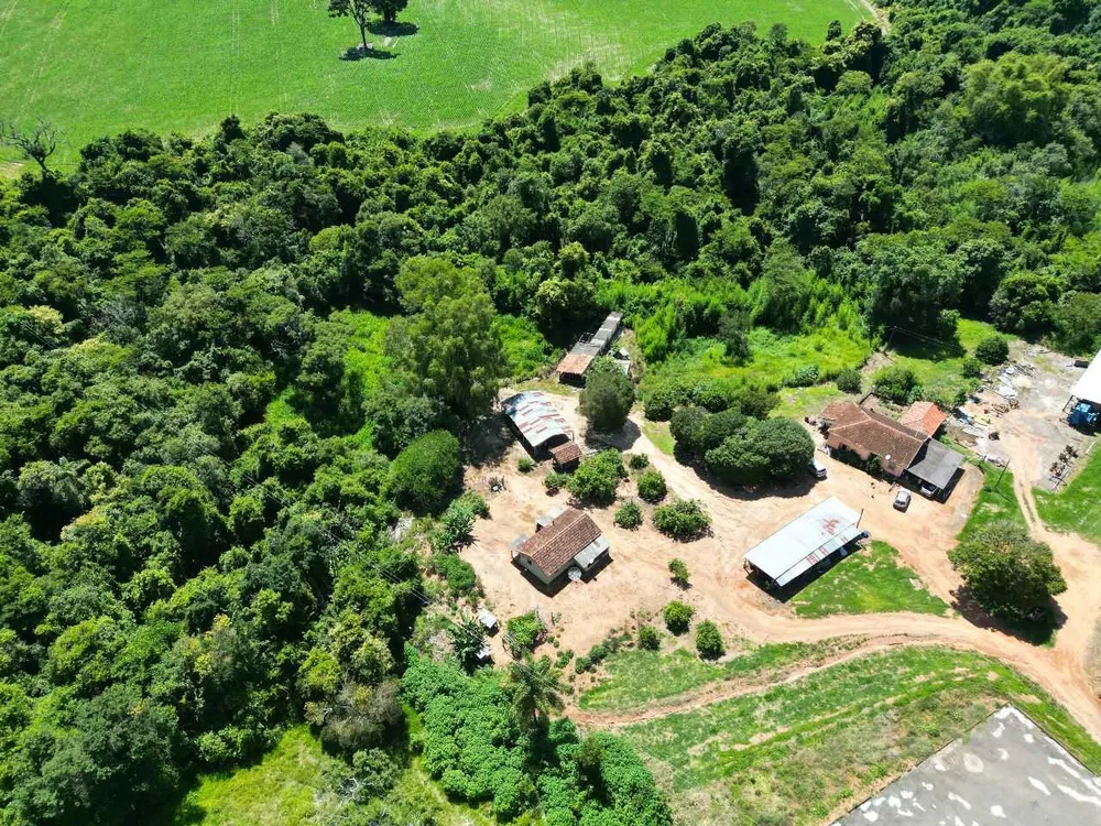 Fazenda, 79 hectares - Foto 3