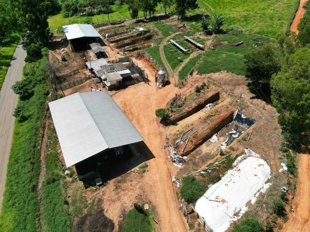 Fazenda, 79 hectares - Foto 9