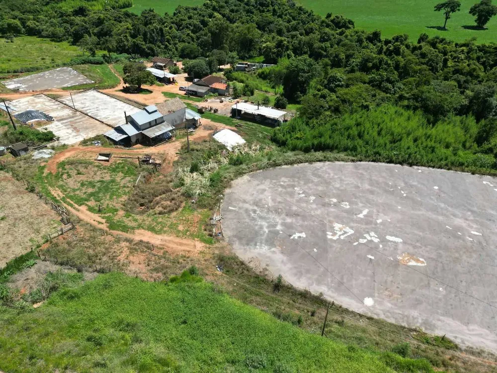Fazenda, 79 hectares - Foto 1