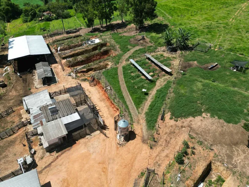 Fazenda, 79 hectares - Foto 2