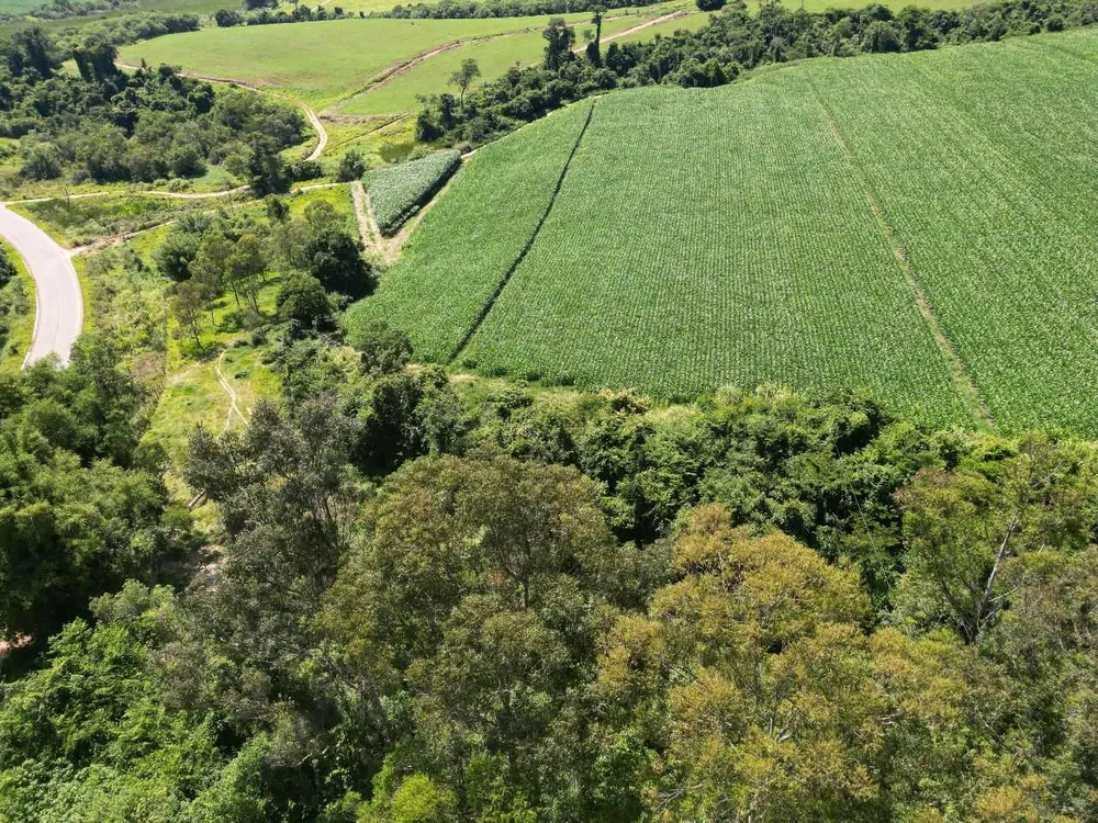 Fazenda, 79 hectares - Foto 25