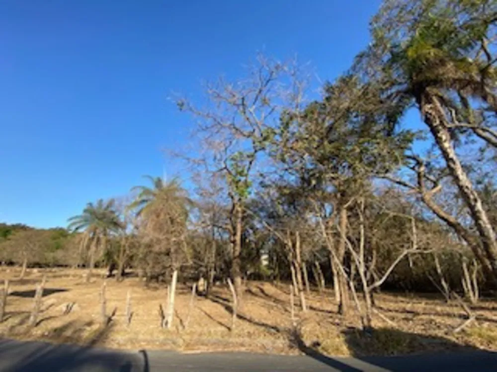 Terreno, 24 m² - Foto 4
