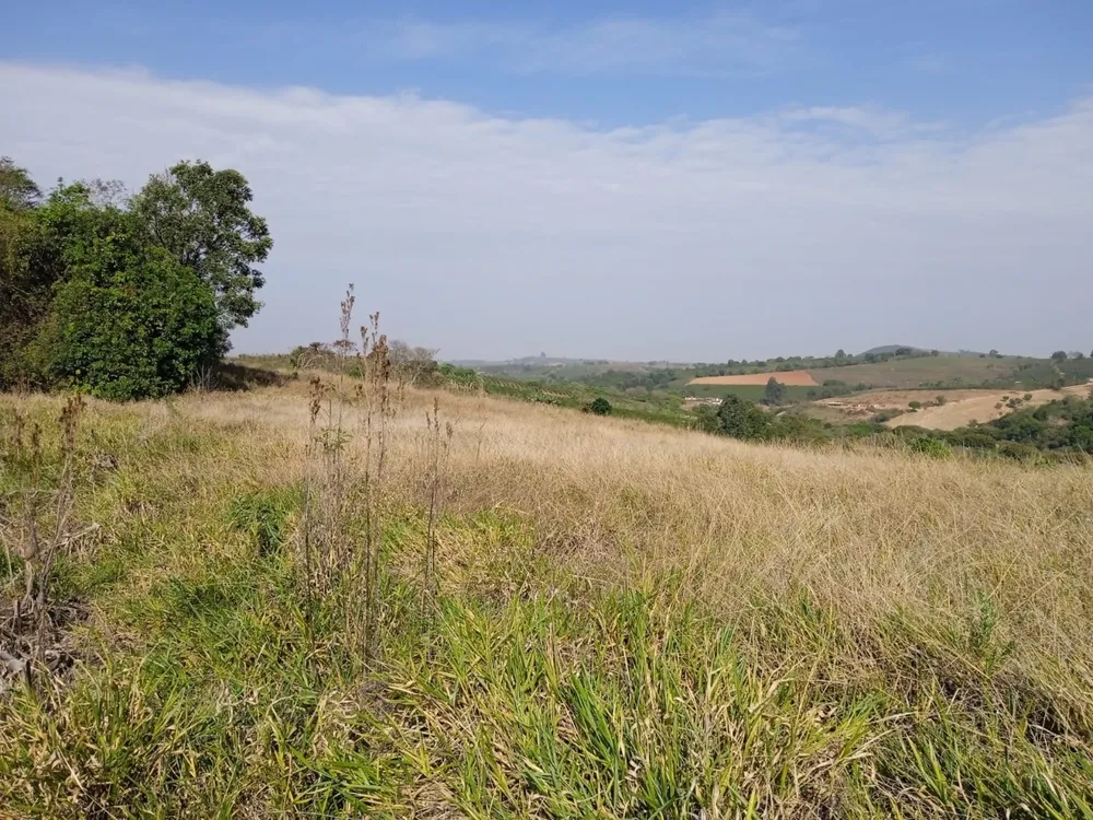 Sítio, 1 quarto, 40000 m² - Foto 1