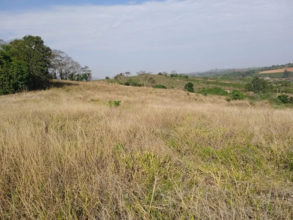 Sítio, 1 quarto, 40000 m² - Foto 3