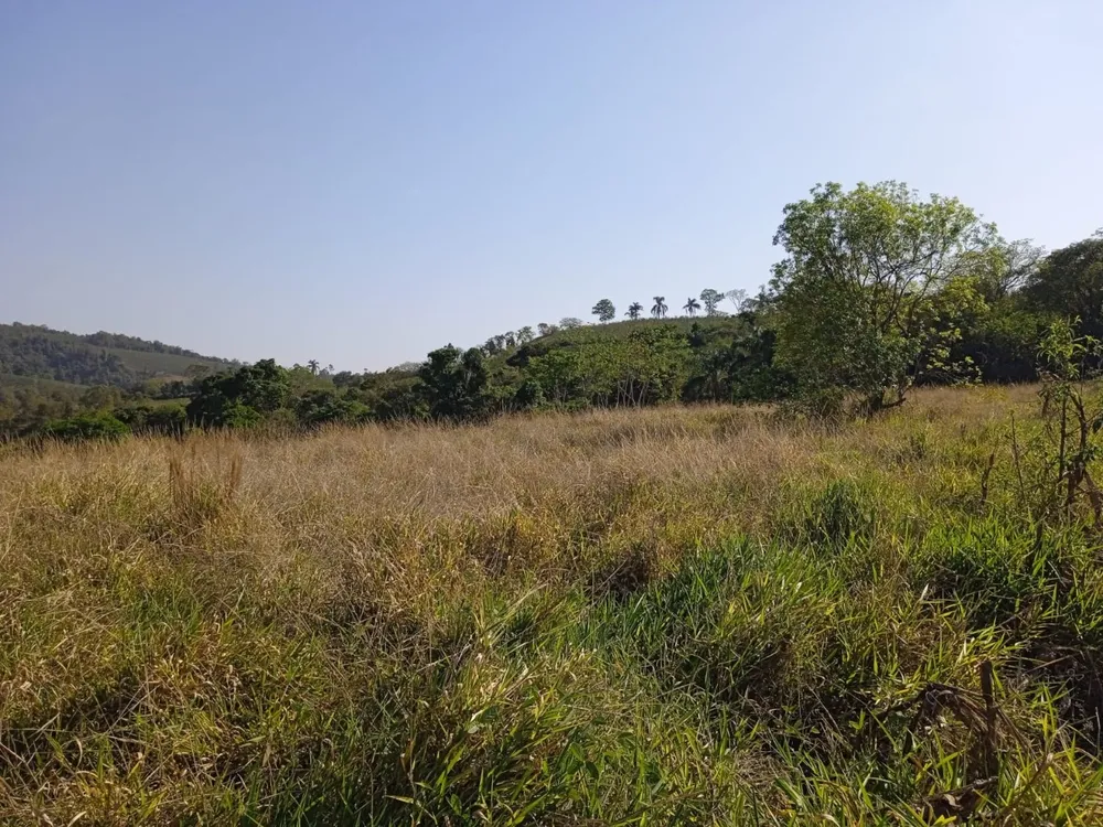 Sítio, 1 quarto, 40000 m² - Foto 2