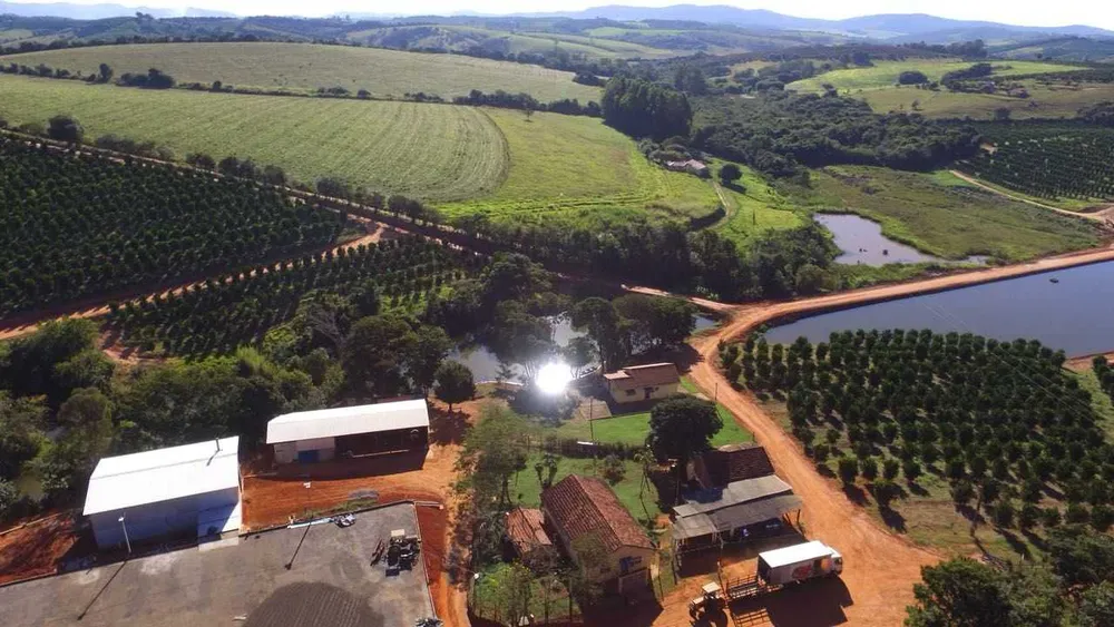 Fazenda, 61 hectares - Foto 2