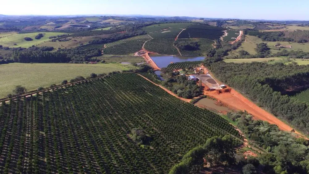 Fazenda, 61 hectares - Foto 4