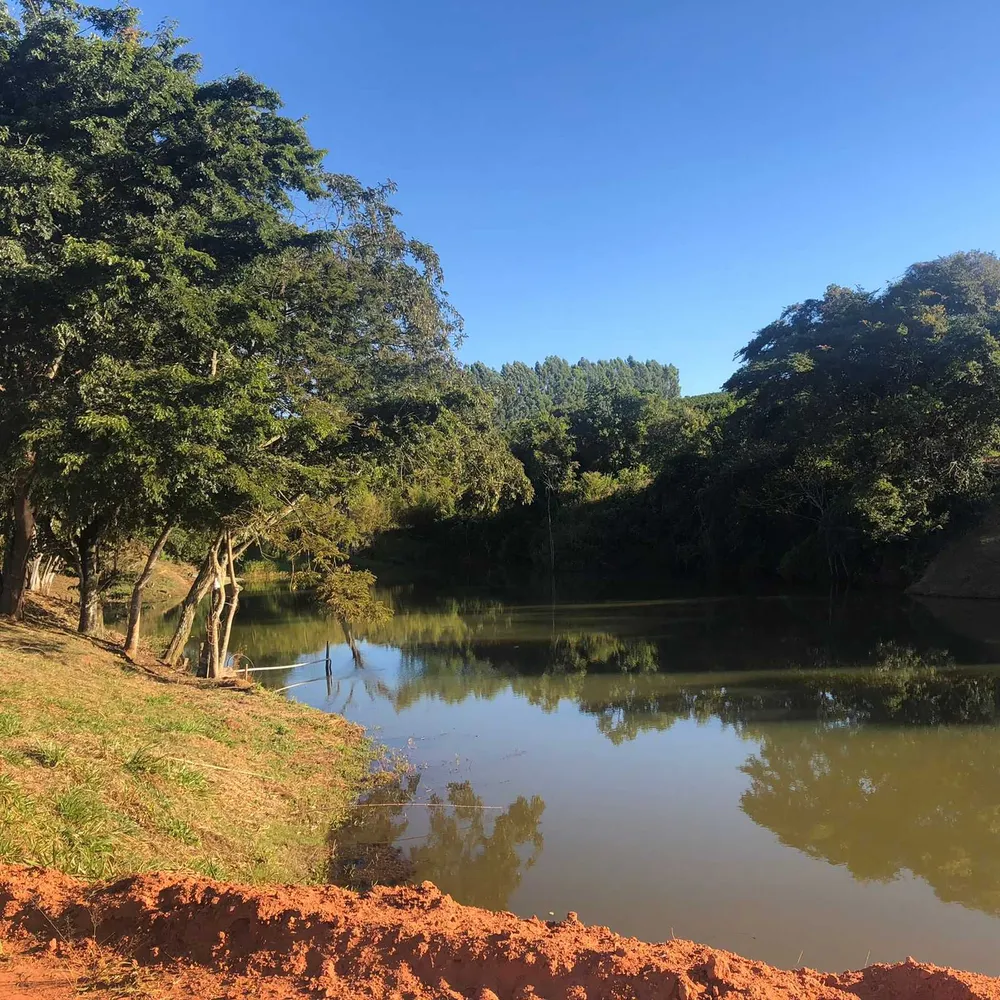 Fazenda, 61 hectares - Foto 5