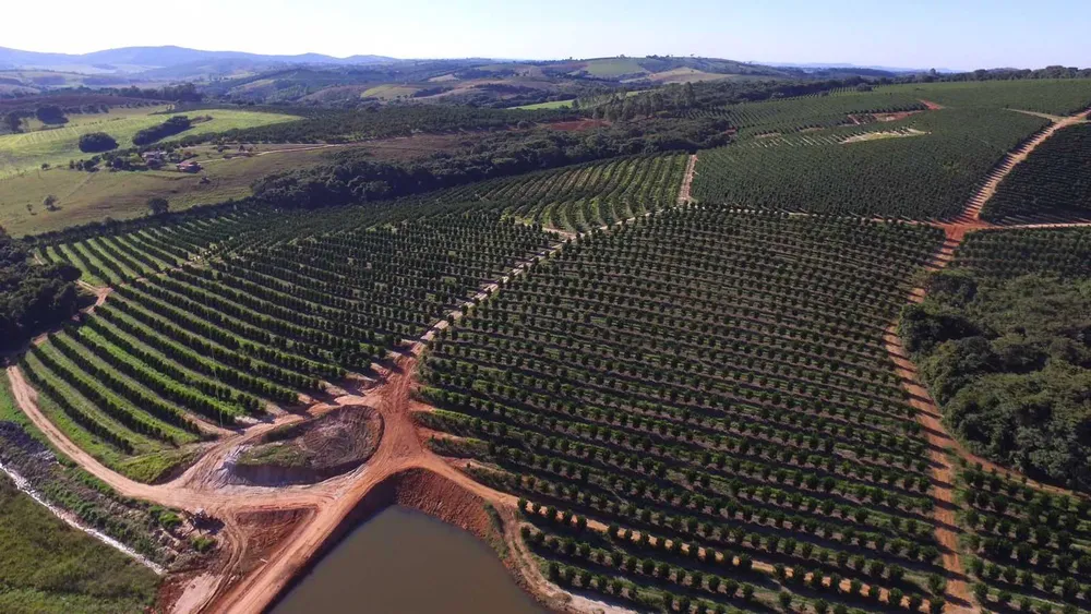 Fazenda, 61 hectares - Foto 8