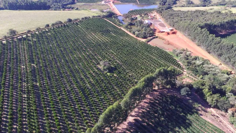 Fazenda, 61 hectares - Foto 3