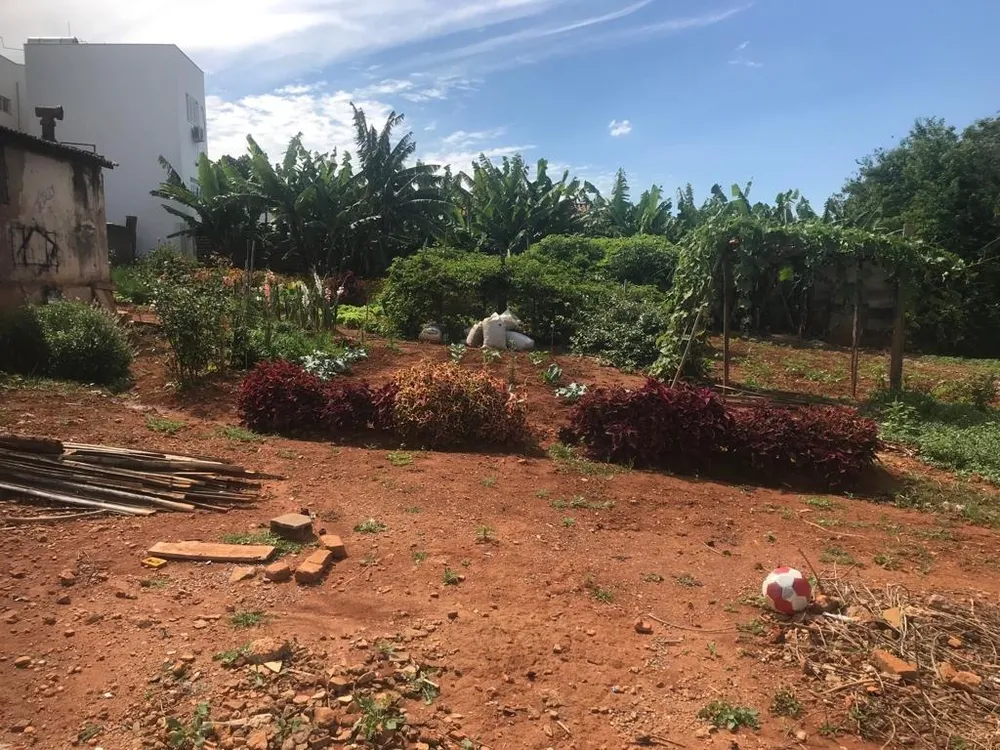 Terreno, 3020 m² - Foto 5