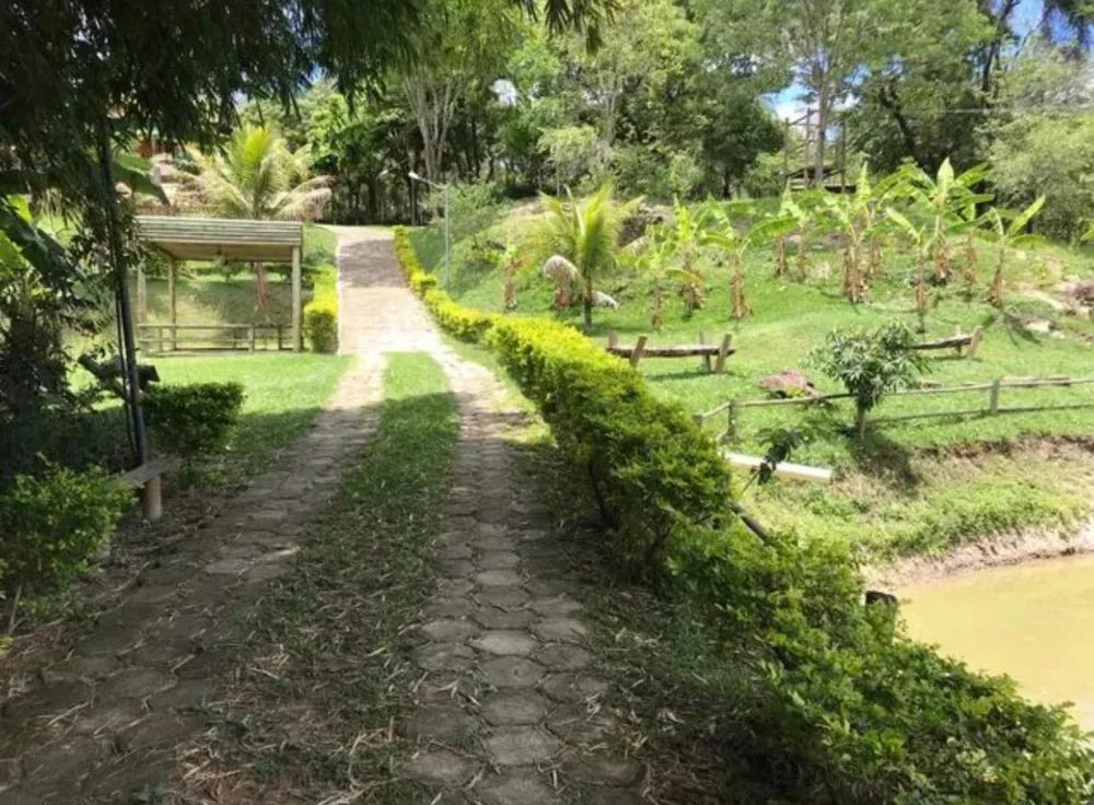 Sítio, 4 quartos, 15000000 m² - Foto 6