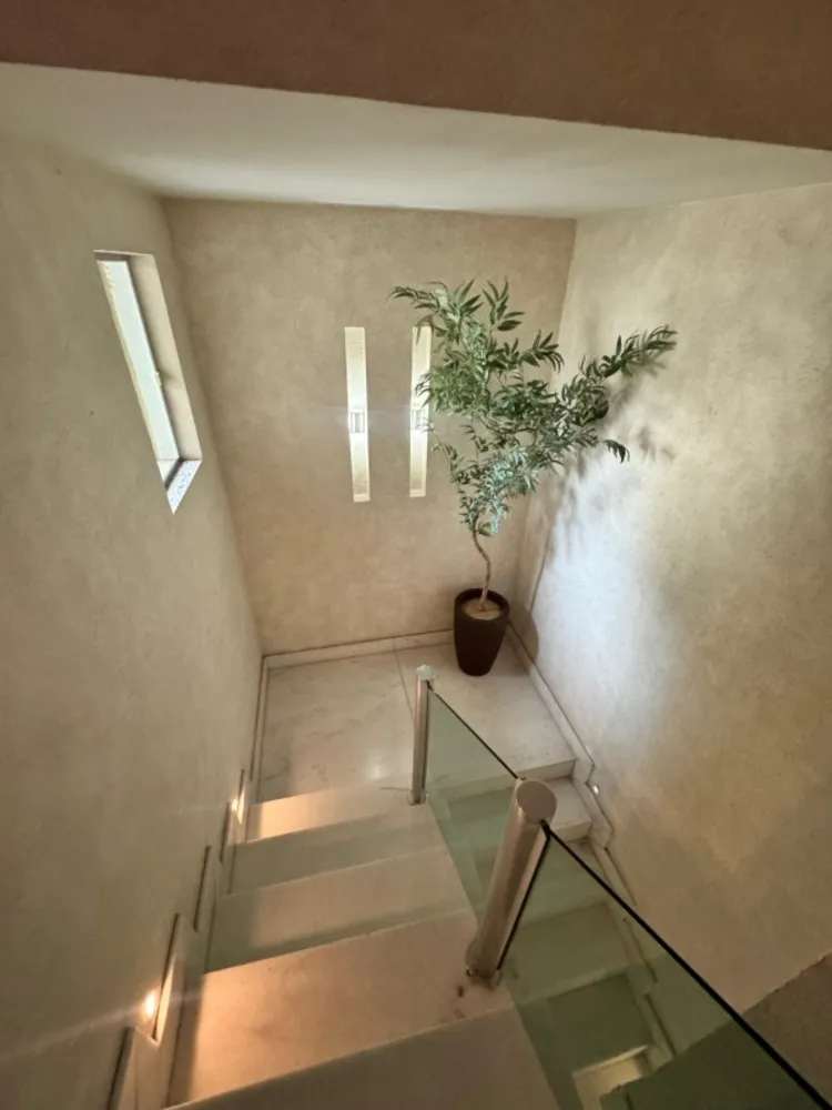 Casa, 4 quartos, 320 m² - Foto 7
