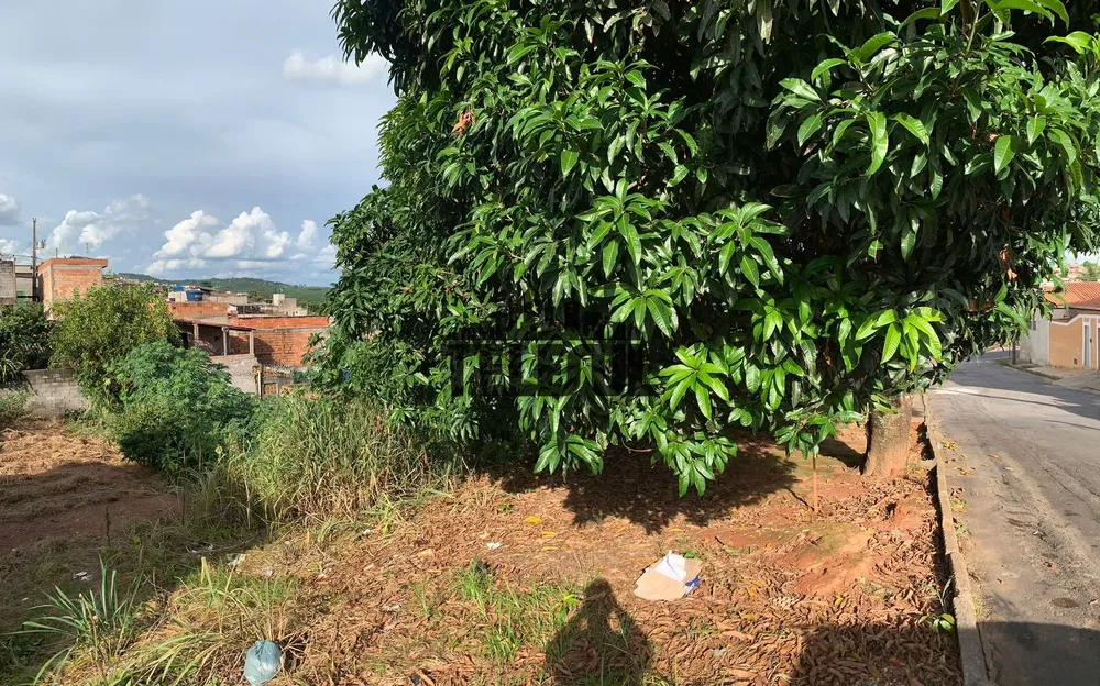 Terreno, 250 m² - Foto 3