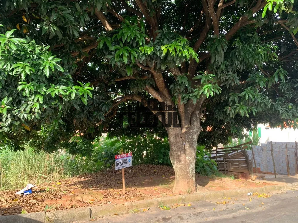 Terreno, 250 m² - Foto 4