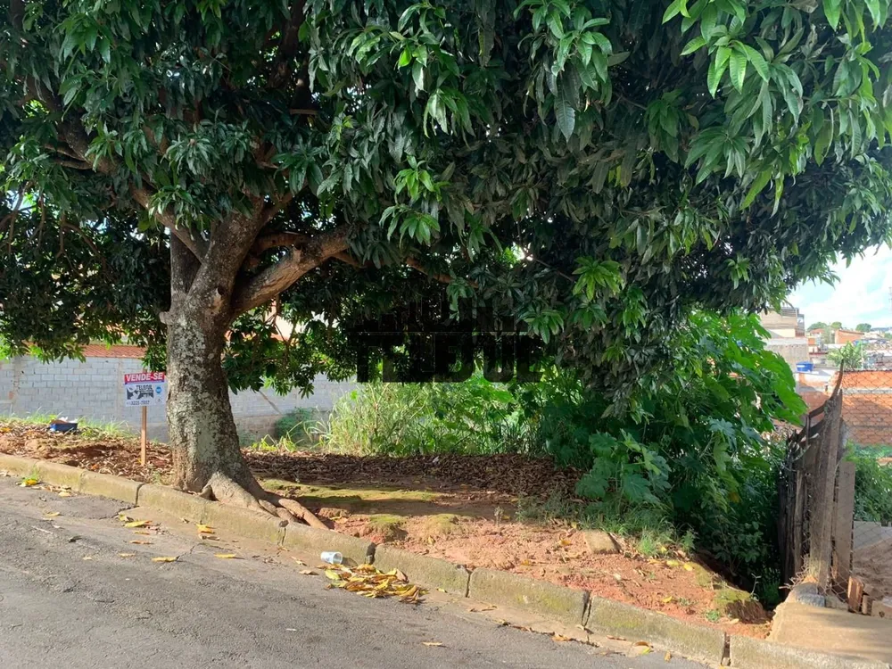 Terreno, 250 m² - Foto 5