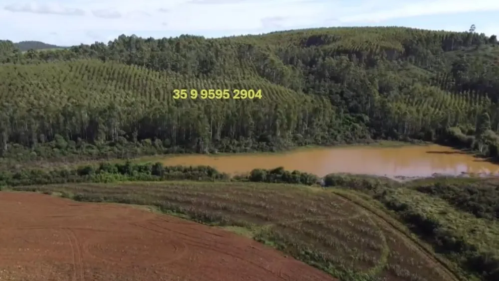 Fazenda, 2080 hectares - Foto 3