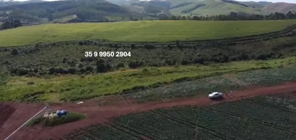Fazenda, 2080 hectares - Foto 6