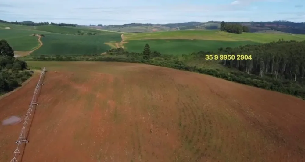 Fazenda, 2080 hectares - Foto 7