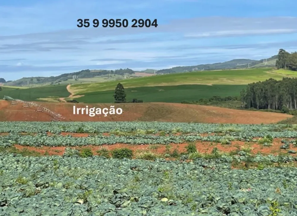 Fazenda, 2080 hectares - Foto 4