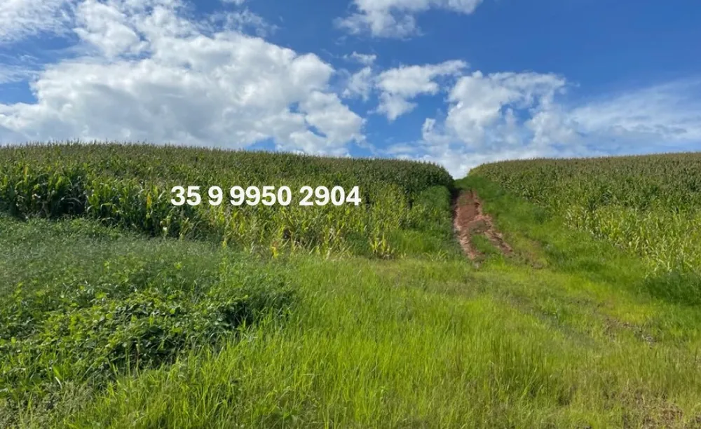 Fazenda, 2080 hectares - Foto 15