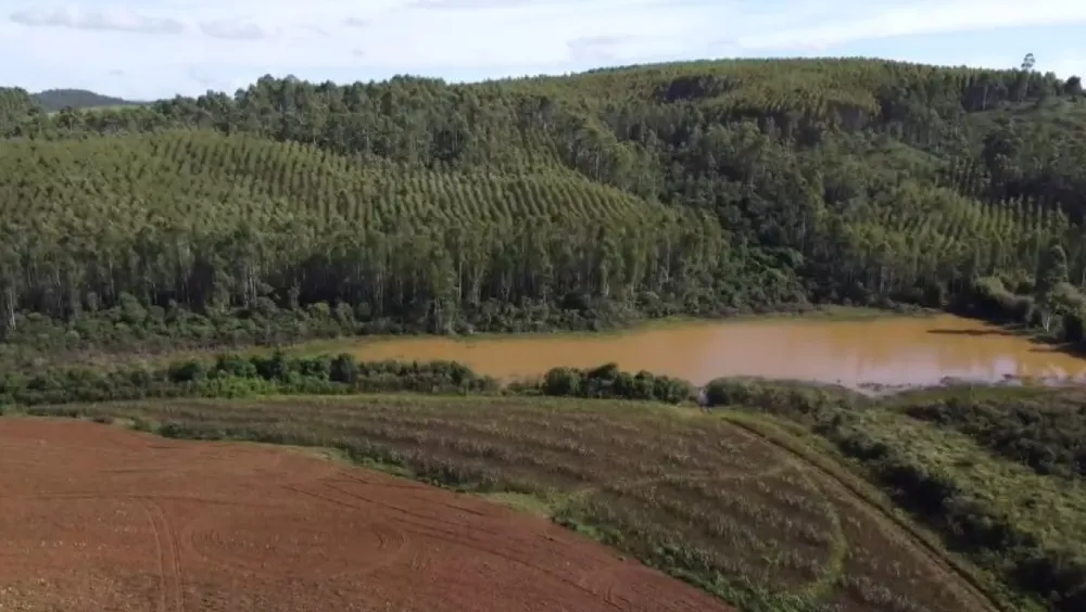 Fazenda, 2080 hectares - Foto 6