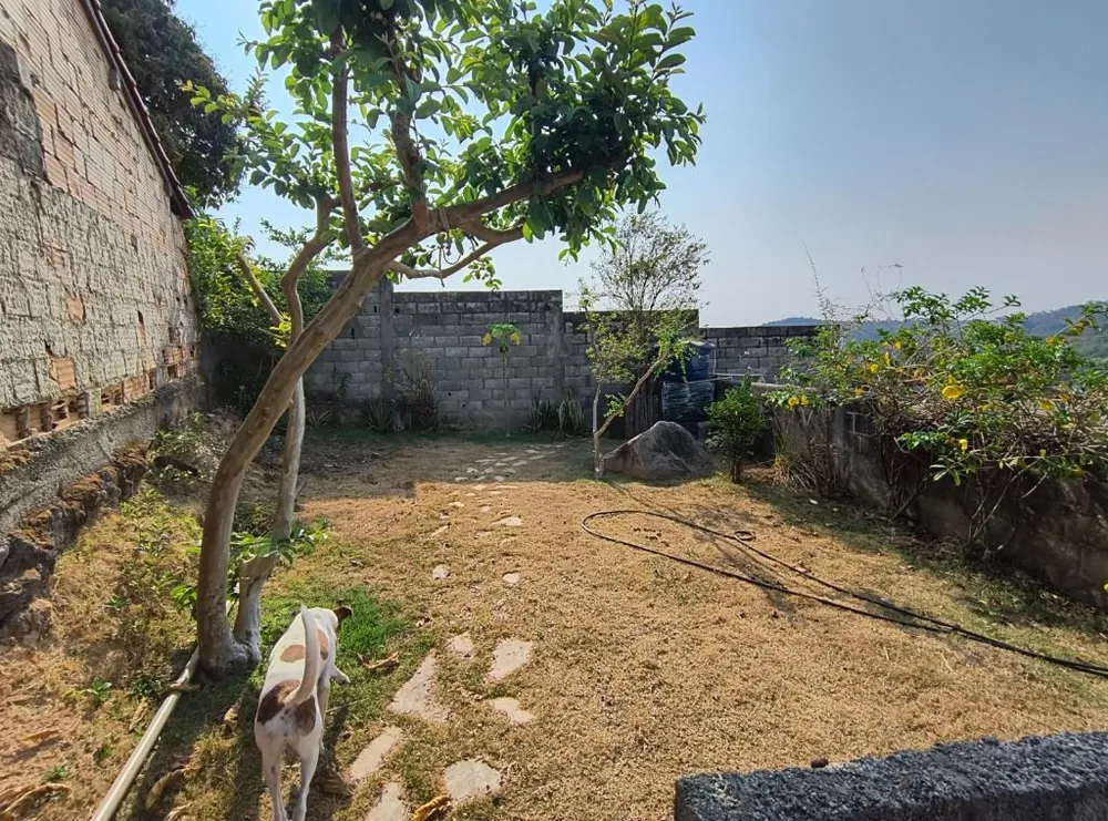 Casa, 4 quartos, 540 m² - Foto 4