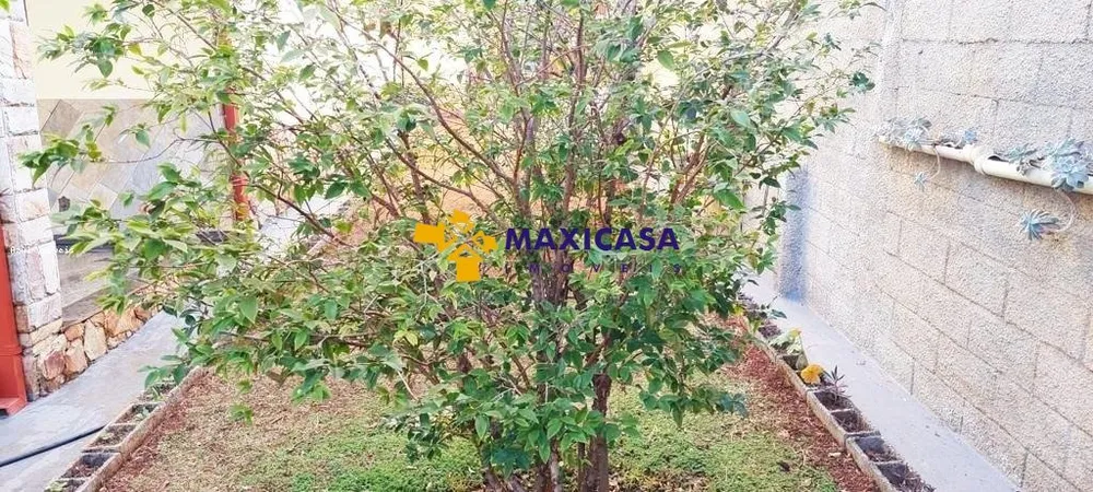 Casa, 5 quartos, 661 m² - Foto 4