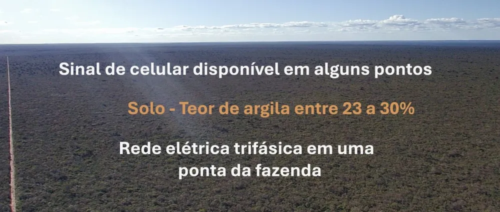 Fazenda, 4004 hectares - Foto 9