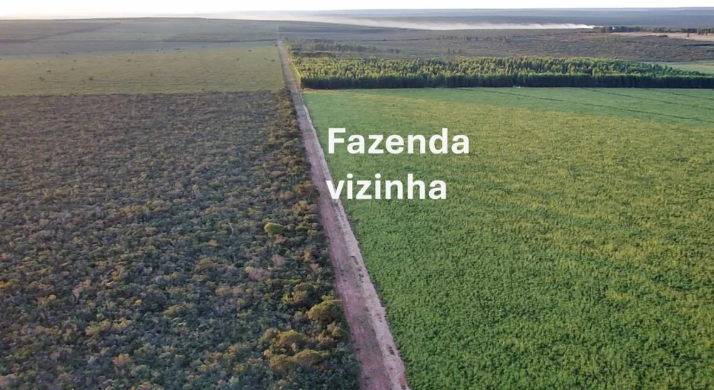 Fazenda, 4004 hectares - Foto 10