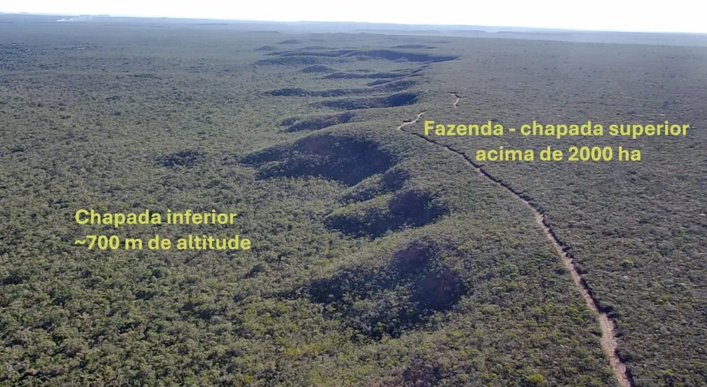 Fazenda, 4004 hectares - Foto 11