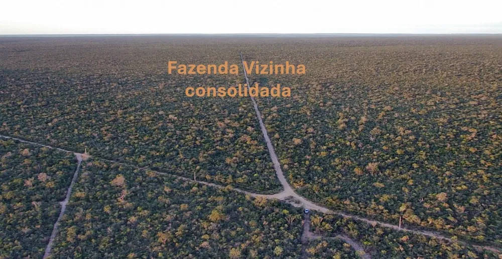 Fazenda, 4004 hectares - Foto 6