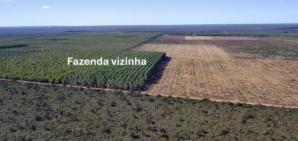 Fazenda, 4004 hectares - Foto 8
