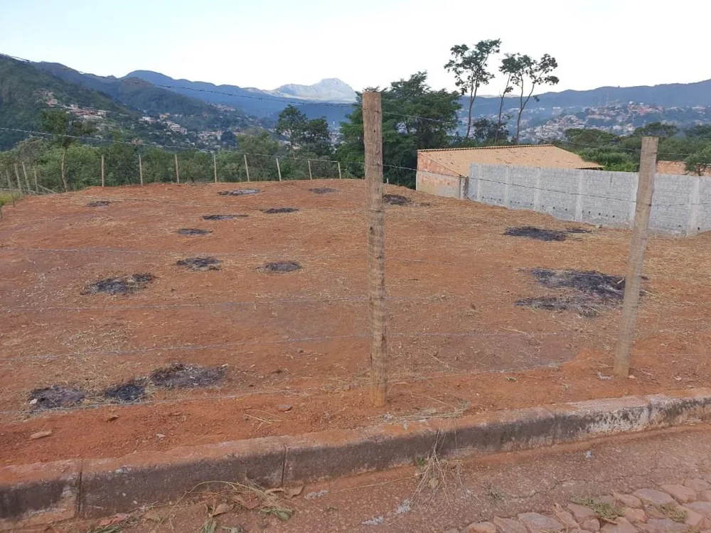 Terreno, 720 m² - Foto 5