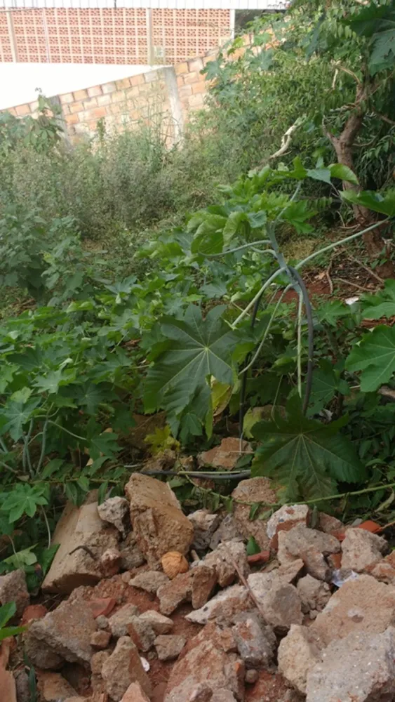 Terreno, 420 m² - Foto 10