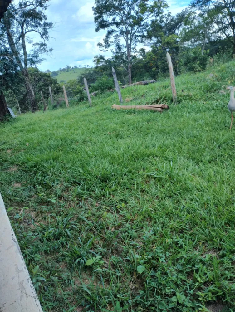Chácara, 3 quartos, 6 hectares - Foto 8