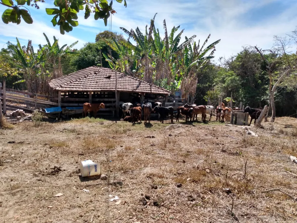 Chácara, 3 quartos, 6 hectares - Foto 1