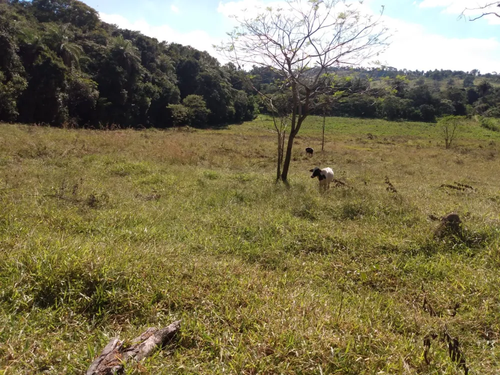 Chácara, 3 quartos, 6 hectares - Foto 4