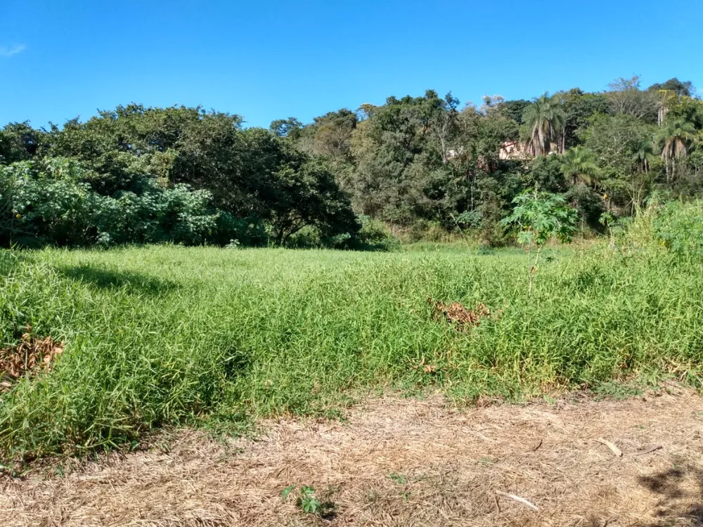 Chácara, 3 quartos, 6 hectares - Foto 7