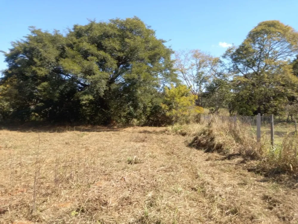 Terreno, 3333 m² - Foto 4