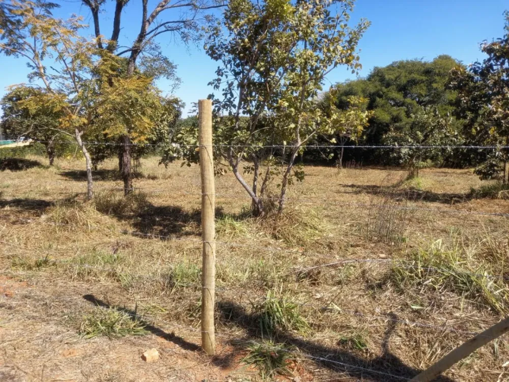 Terreno, 3333 m² - Foto 6