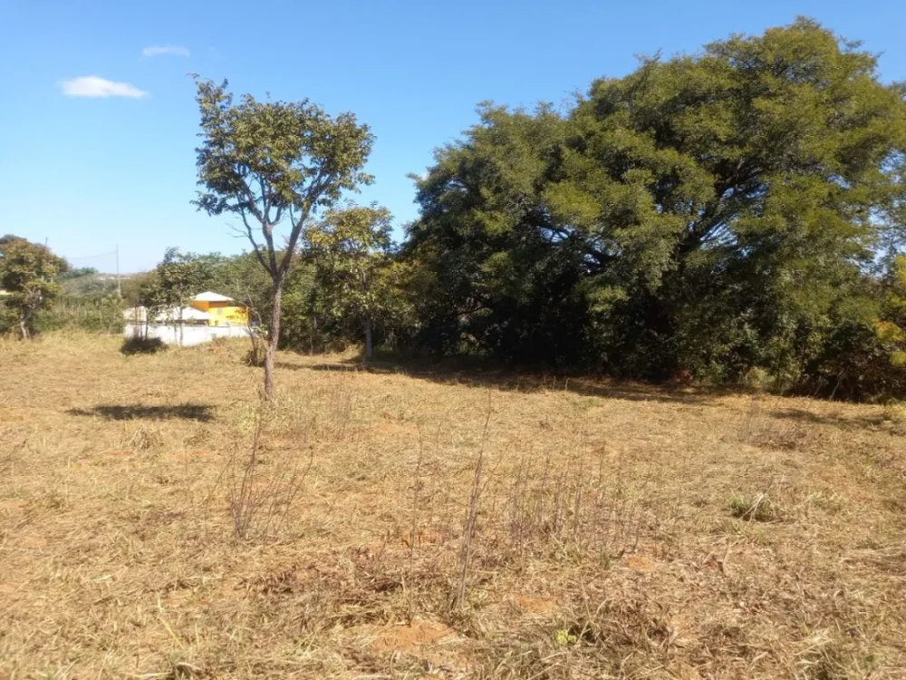 Terreno, 3333 m² - Foto 3