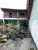 Casa, 5 quartos, 572 m² - Foto 5