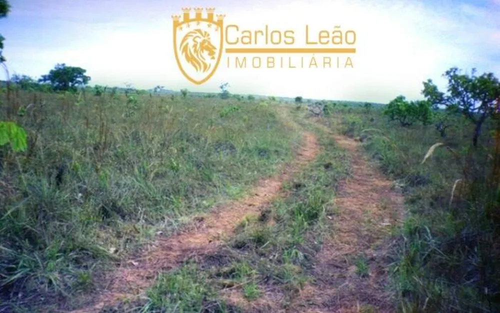 Terreno, 2600 hectares - Foto 10